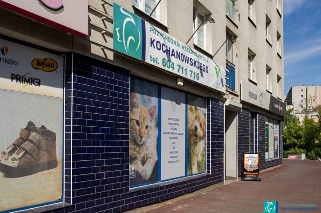 lecznica-kochanowskiego-bielany04.jpg